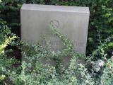 image of grave number 458321